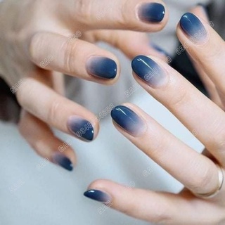 Cọ omber cán gỗ đầu tròn