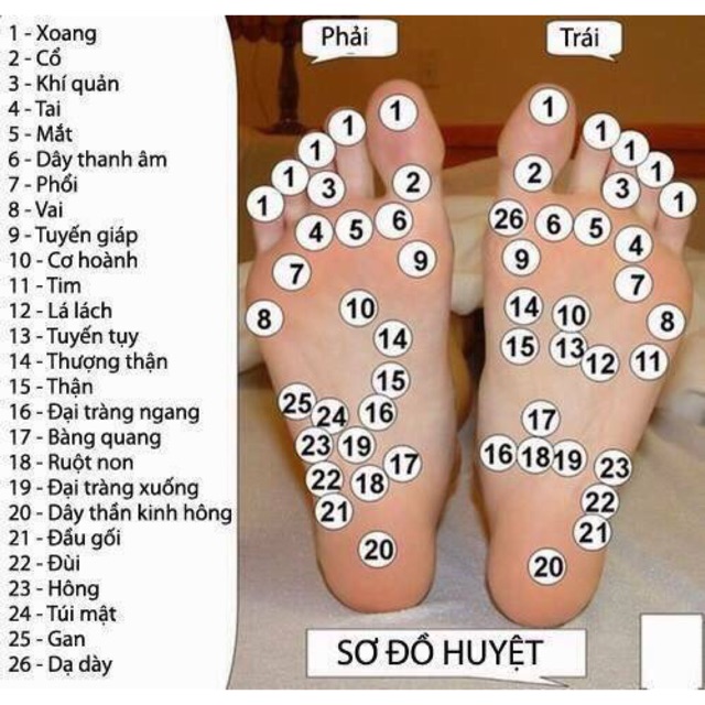 Máy bấm huyệt chân