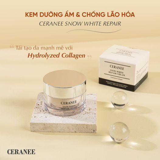 Kem Dưỡng Da Ceranee Chính Hãng Phục Hồi Da Dưỡng Ẩm Và Sáng Da Chống Lão Hoá Kem Dưỡng Tái Tạo Da Ceranee Hàn Quốc