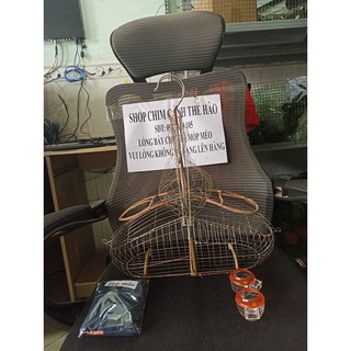 Lồng Bẩy Chào Mào , Chòe Than Sài Gòn