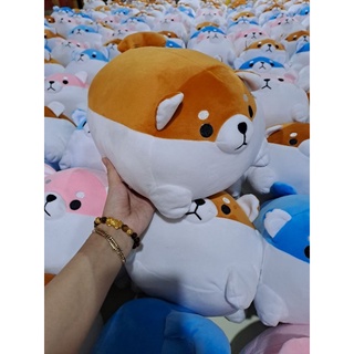  Gấu Bông Chó Shiba Thú Nhồi Bông Chó Shiba 