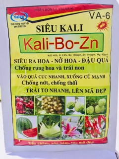 Siêu kali ra hoa - đậu quả