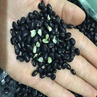 đậu đen xanh lòng (500g)