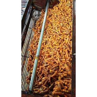 Tinh Bột Nghệ Bảo Lộc