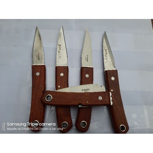 Dao tách - ghép - chiết cành
