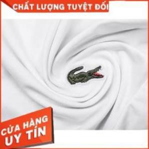 [ Hàng VNXK 100% cotton ] Áo Thun Nam Cá Sấu VNXK / Áo Phông Lacoste Không Cổ ( A002)