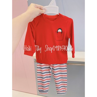 BỘ DÀI TÚI CÁNH CỤT