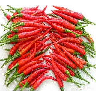 Hạt Giống Ớt Hiểm Lai Demon Hai Mũi Tên Đỏ 120Hạt/gói-Sinh Trưởng Mạnh, Khả Năng Phân Nhánh Tốt, Thời Gian Thu Hoạch Dài