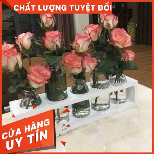 SÉT 5 BÌNH CẮM HOA THỦY TINH