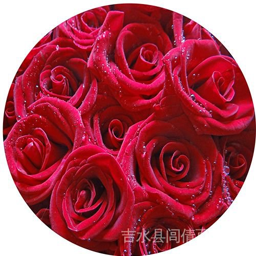 Thảm Lót Sàn Hình Tròn In Họa Tiết Hoa Hồng 3D Chống Trượt / Thấm Nước / Dầu Mỡ Tiện Dụng Cho Nhà Bếp / Phòng Tắm
