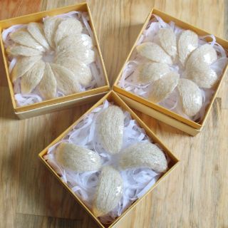 Yến sào trẻ em Thánh Gióng