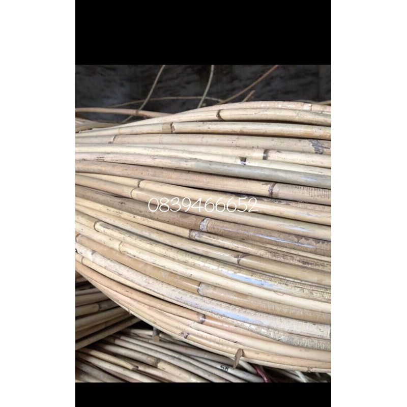 Song mây, mây tự nhiên, mây làm ghế, mâu tươi các loại