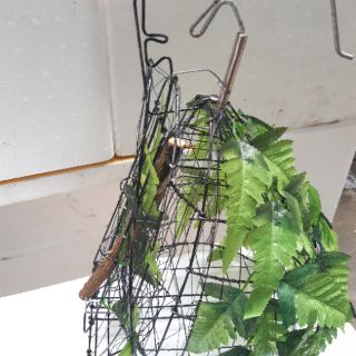 Lồng bẫy chim cu số 3