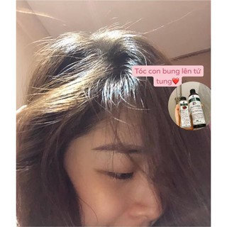 Kem ủ tóc tinh chất thiên nhiên
