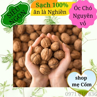 Hạt óc chó nguyên vỏ hũ 300gr