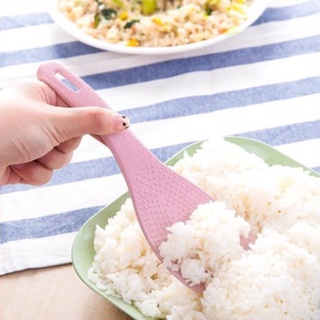 Muôi cơm - Thìa xới cơm