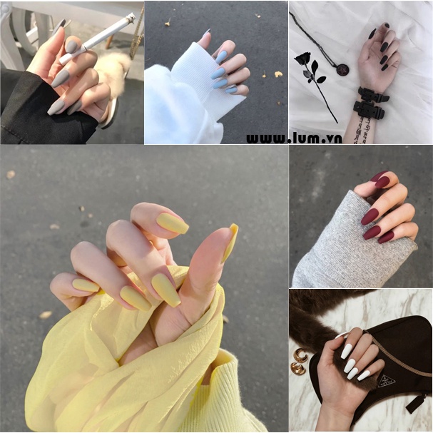 [ 820 ] SƠN MỊN ĐƠN SẮC - THANG DÀI [Tặng Miếng Dán Và Dụng Cụ] BST