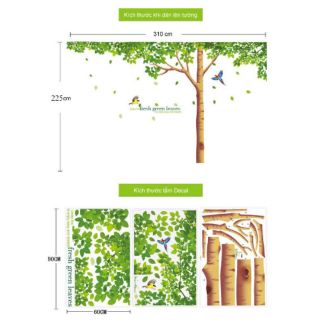 Decal dán tường cây xồi xanh