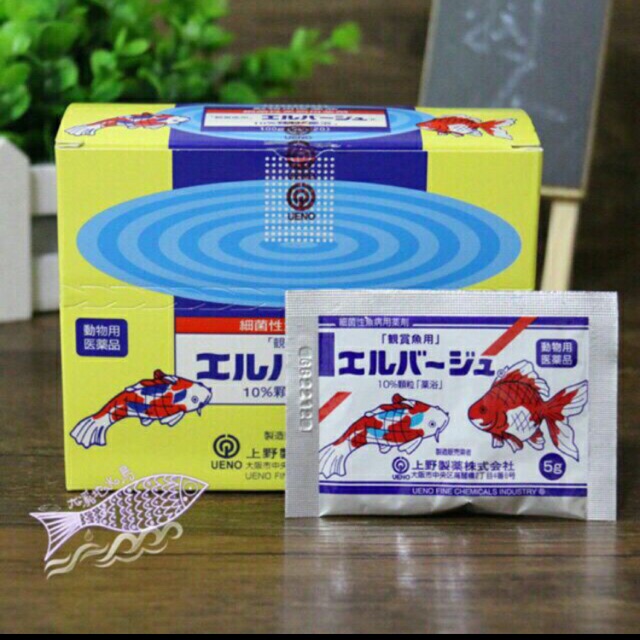 Tetra Nhật ( Dùng cho cá cảnh )