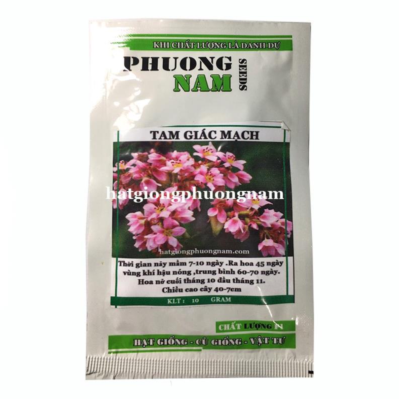 10GR - HẠT GIỐNG HOA TAM GIÁC MẠCH