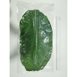 lá dong ( lá dung) gói bánh size 2 - dong leaves size 2