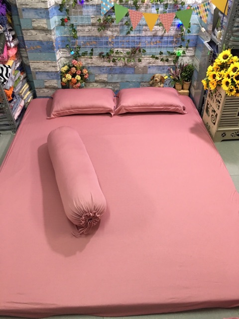 Bộ drap thun màu trơn