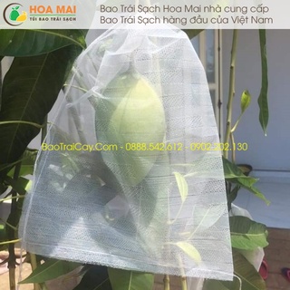 100 cái Túi bao xoài nhỏ 18x24 lưới mùng - hàng chính hãng Hoa Mai
