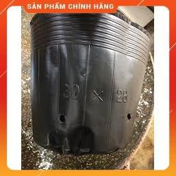BẦU ƯƠM CÂY GIỐNG KT 28X30