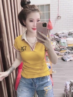 Áo sơ mi in chữ