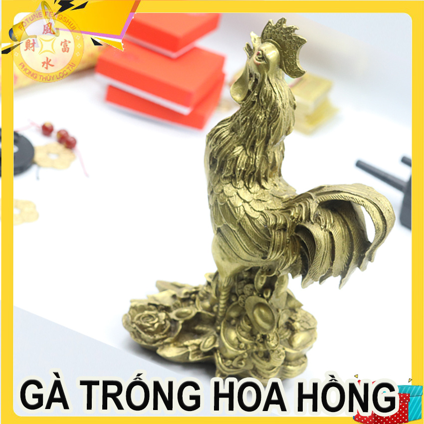 Gà trống hoa hồng đồng