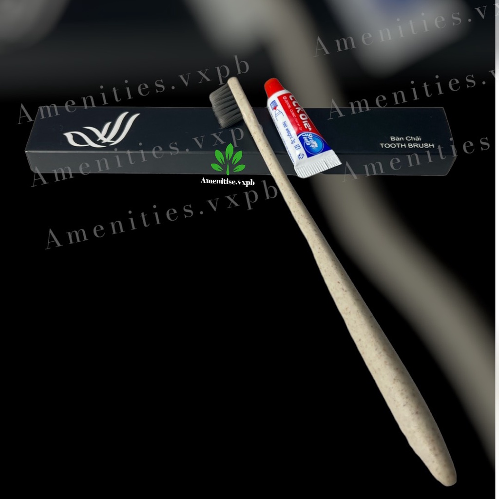 100 bàn chải lúa mạch cán bầu mẫu 03 bao bì hộp giấy(mẫucánh chim) cho khách sạn, resort, homestay, villa,..nhận in logo