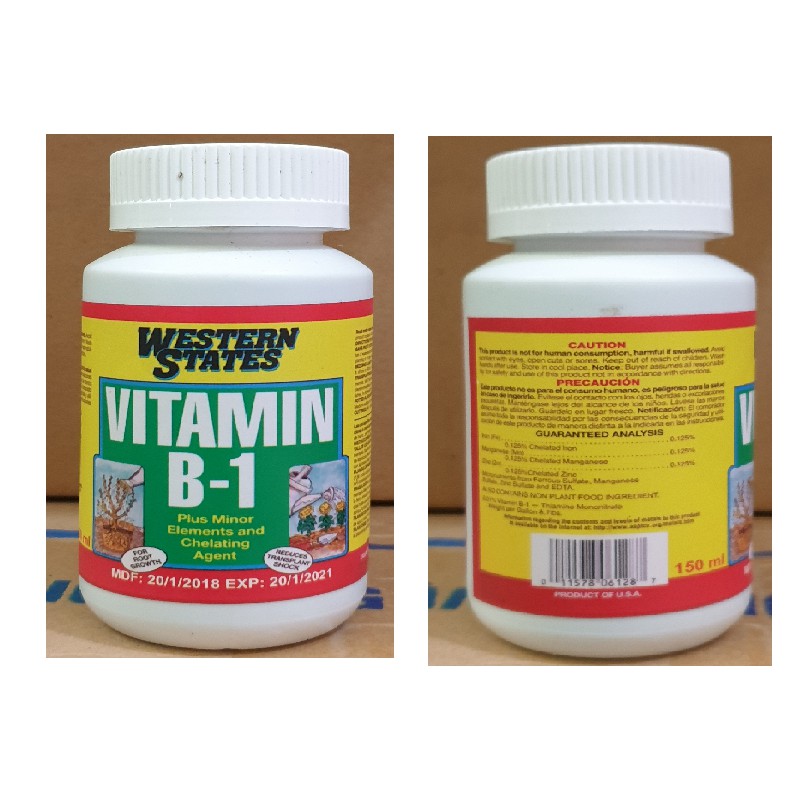 Vitamin B1 Mỹ 100ml