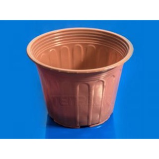Chậu nhựa trồng cây - combo 5 chậu 20x15cm