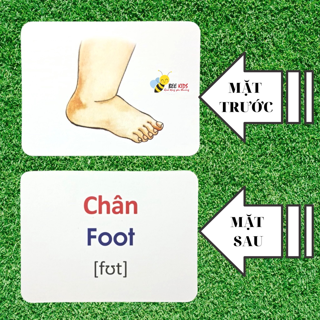 Thẻ Học Thông Minh Flashcards Chủ Đề Bản Thân Và Gia Đình Cho Bé BEEKIDS
