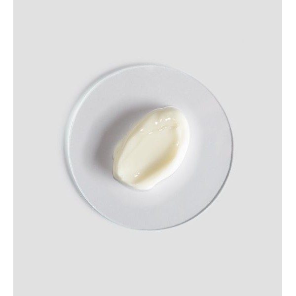 Comfort Zone Renight Cream - Kem dưỡng bổ sung vitamin và nuôi dưỡng da