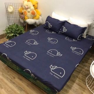 Set Ga gối
