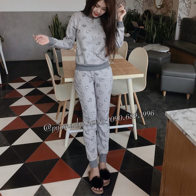 Bộ nỉ bông - KHỦNG LONG XÁM