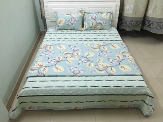 Bộ  chăn ga gối Poly trần bông