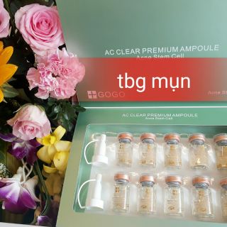 Tế bào gốc mụn gogo