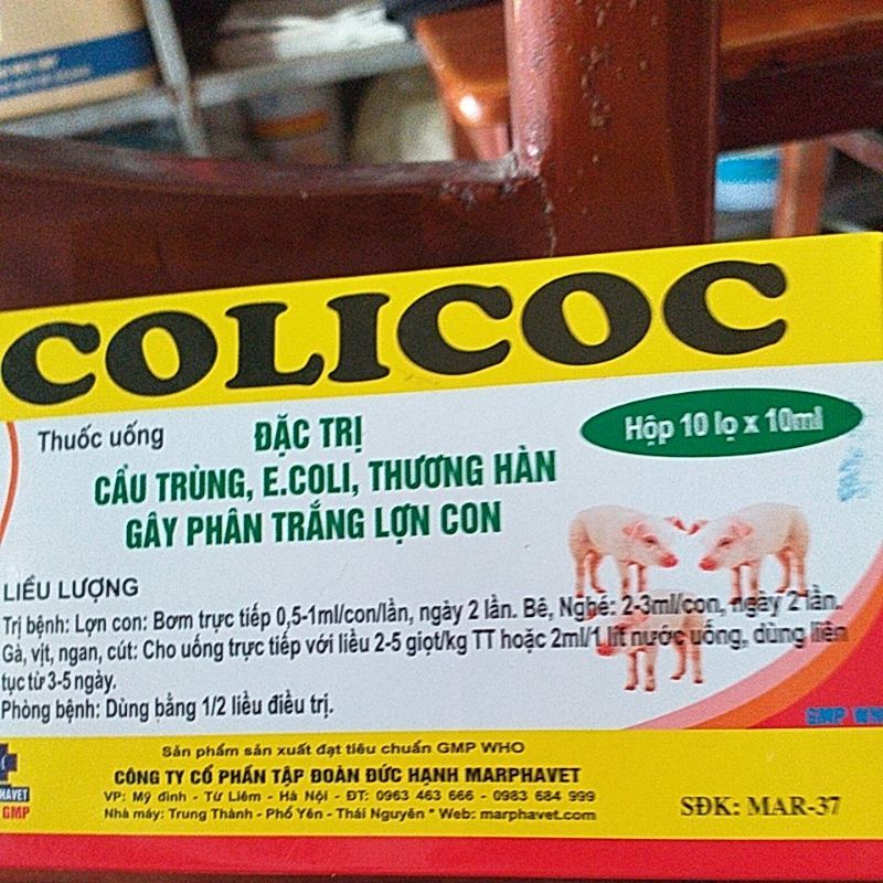 Colicoc cho vật nuôi cầu trùng, ecoli, phân trắng lợn con, máu tươi, sáp, chó mèo, gà đá  đi ỉa