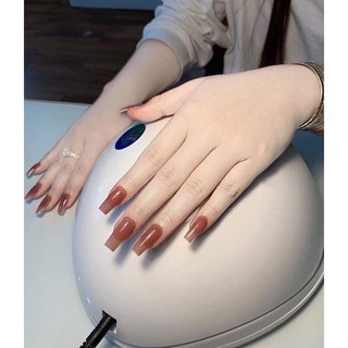 Sơn gel thạch nho tone màu hottrend hót   Nailspa.hn