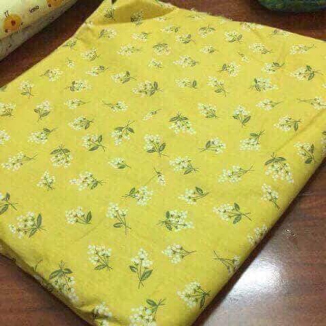 Sét vải của Nhung Anh