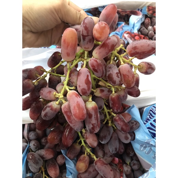 Nho đỏ Úc Long Crimson