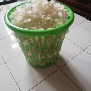 3000 phôi cánh