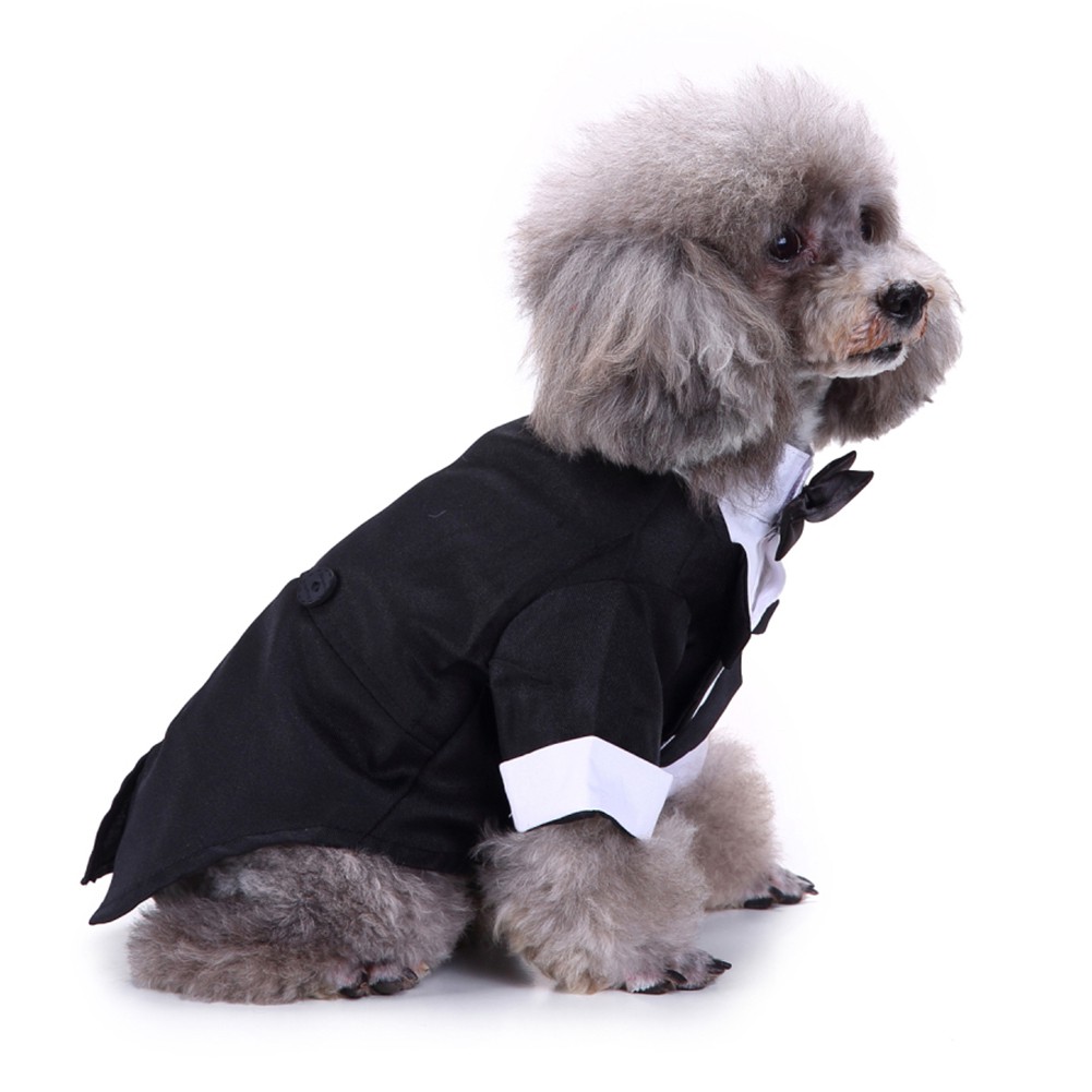 Bộ Quần Áo Tuxedo Chú Rể Cho Thú Cưng