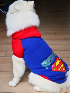 ÁO SUPERMAN