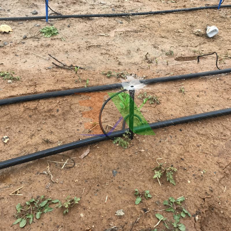 Cuộn 20m Dây LDPE 20 mm Dày 1.3 mm, Dây dẫn nước tưới PE, Ống nước HDPE Φ20, Dây tưới tự động