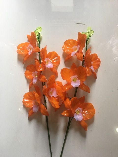 Combo 2 Cành hoa lan hồ điệp