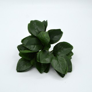 100g lá hoa hồng