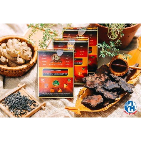 Dầu gội đen tóc SHITINSOF - Hán Phương linh chi | BigBuy360 - bigbuy360.vn